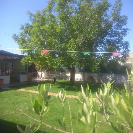 Filuvespri Comiso