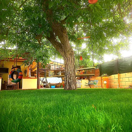 Guest house Filuvespri